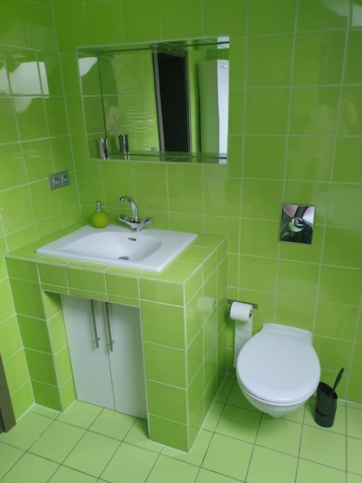 Apartman Radcice 70M2 V Rodinne Vile Liberec Exteriér fotografie